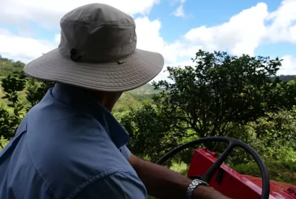 La sucesión, una oportunidad para innovación agrícola