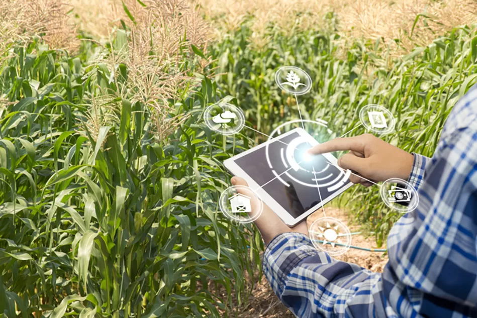 Préstamos agrícolas para una transición hacia la Inteligencia Artificial