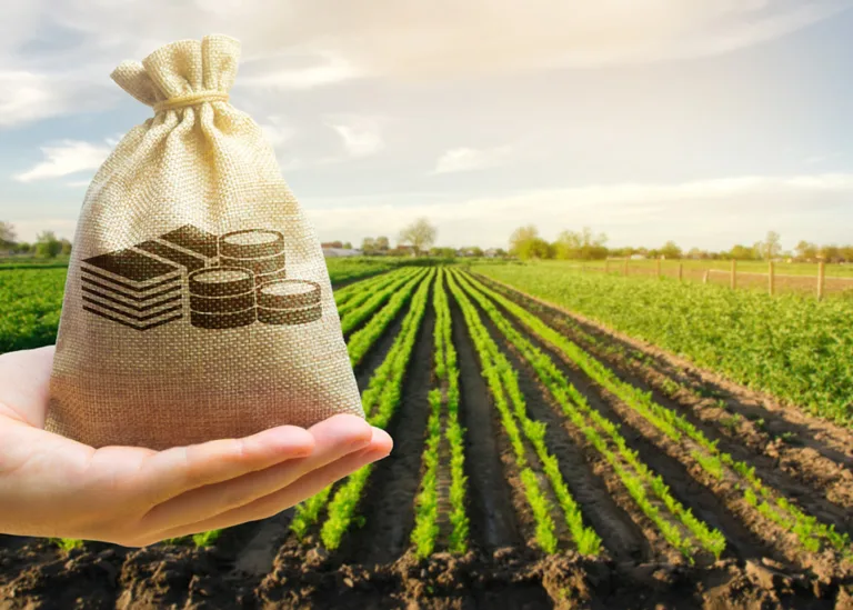 Cultivando el futuro: Guía de financiamiento para jóvenes agricultores