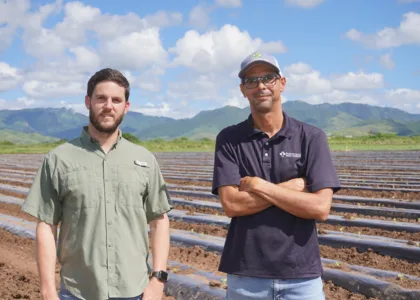 De la semilla a la mesa: Cómo planificar financieramente el ciclo completo de tu cultivo en PR