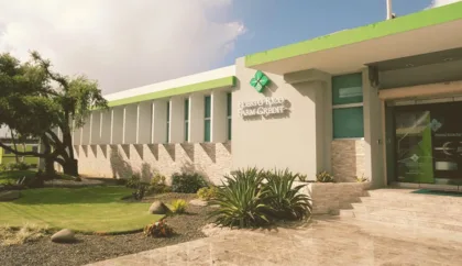 Conoce la inversión reciente del USDA en agricultura regenerativa