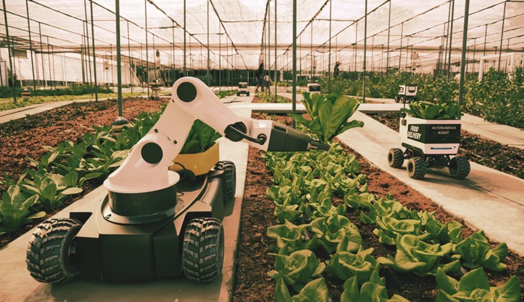 Robot agrícola y vehículo autónomo trabajando en un cultivo de invernadero, ilustrando préstamos para maquinaria y tecnología 5G