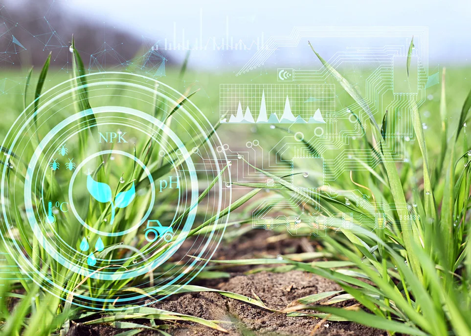 La revolución de la inteligencia artificial (IA) en la agricultura