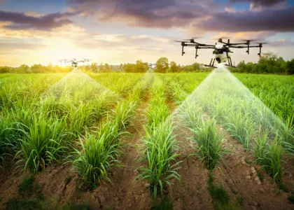 Tendencias que transformarán el sector agropecuario en 2026